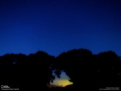 Tapeta National Geographic 479.jpg